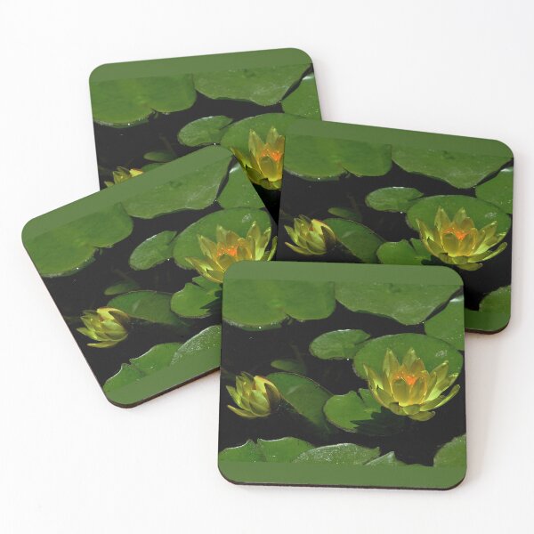 Item preview, Golden Water Lily designed and sold by Armadillo222.