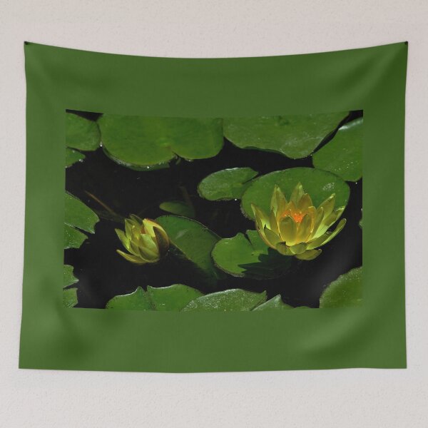 Item preview, Golden Water Lily designed and sold by Armadillo222.