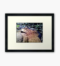 Dirty Cap Framed Print