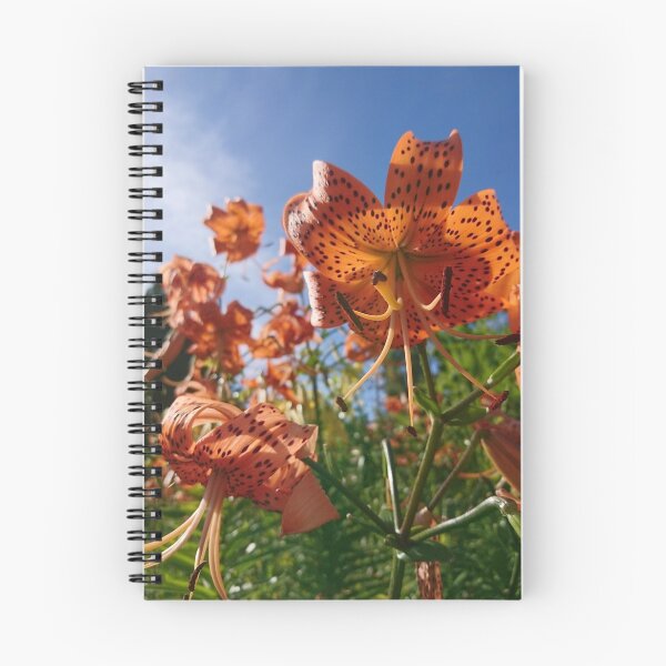 Item preview, Lilies designed and sold by Howlites.