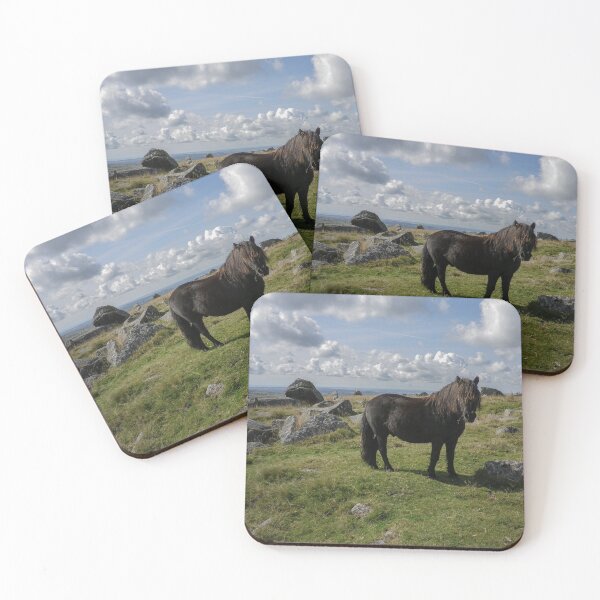 Item preview, BLACK PONY AND CLOUDS DARTMOOR DEVON designed and sold by Richard Brookes Photography.