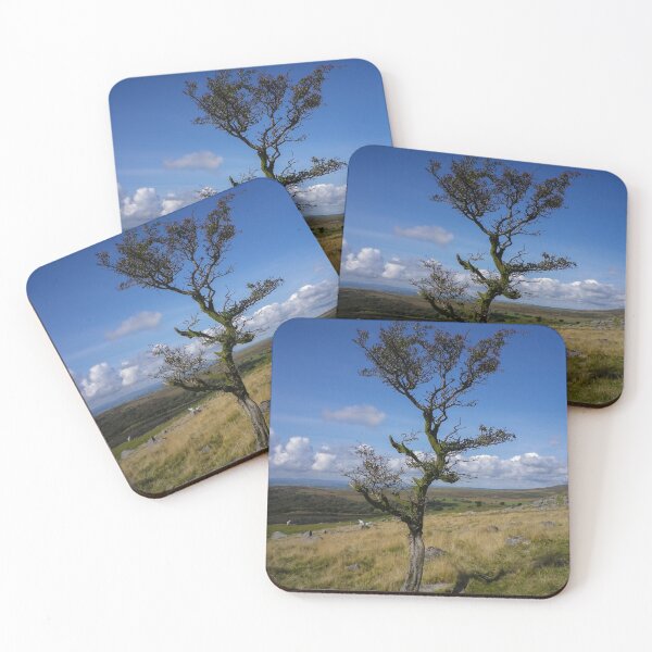 Item preview, STUNTED TREE KINGS TOR DARTMOOR DEVON designed and sold by Richard Brookes Photography.