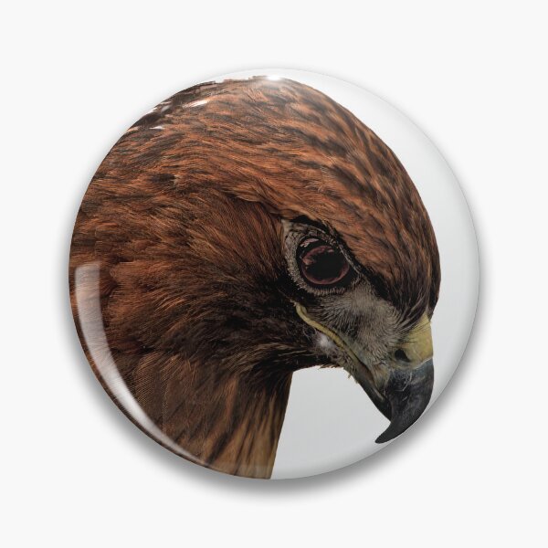 Item preview, Majestic Hawk Portrait designed and sold by Armadillo222.