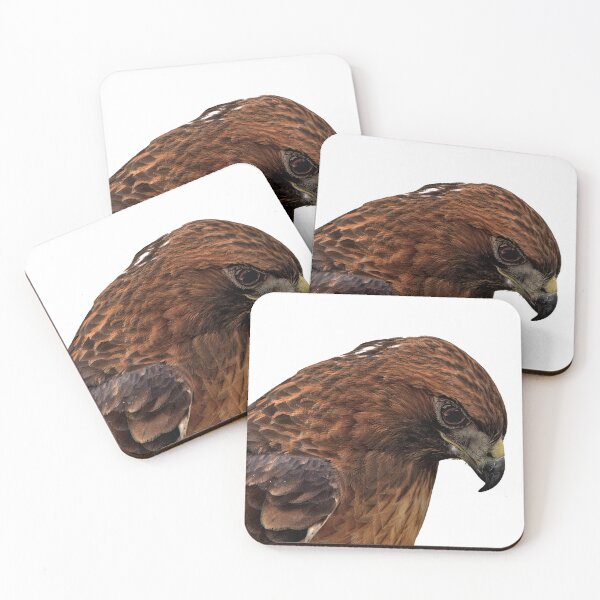 Item preview, Majestic Hawk Portrait designed and sold by Armadillo222.