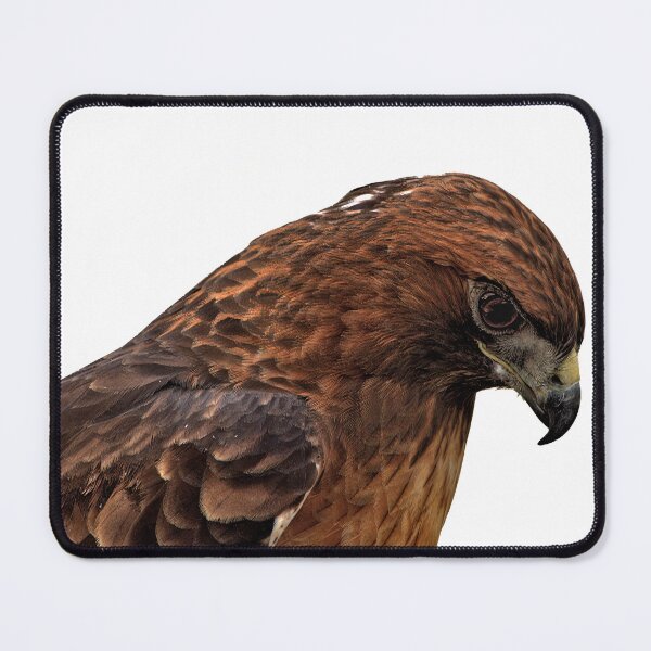 Item preview, Majestic Hawk Portrait designed and sold by Armadillo222.