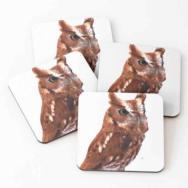 Item preview, Eastern Screech Owl designed and sold by Armadillo222.