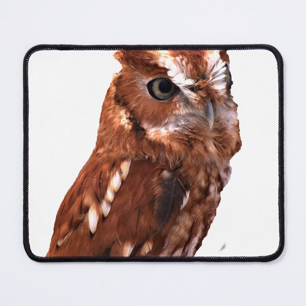 Item preview, Eastern Screech Owl designed and sold by Armadillo222.