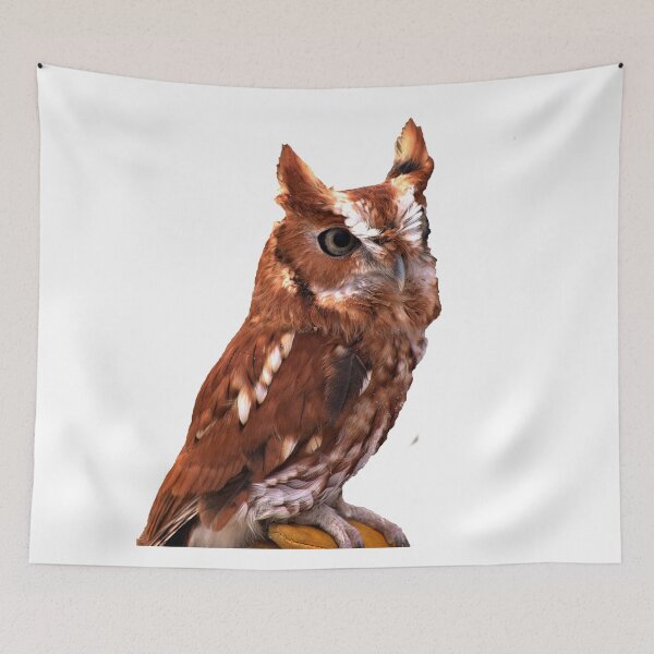 Item preview, Eastern Screech Owl designed and sold by Armadillo222.