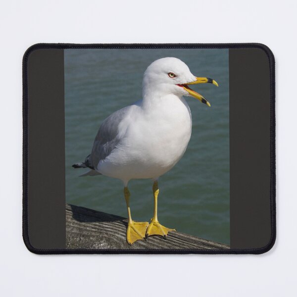 Item preview, YACKETY YACK designed and sold by SKIP WILLITS FINE ART.