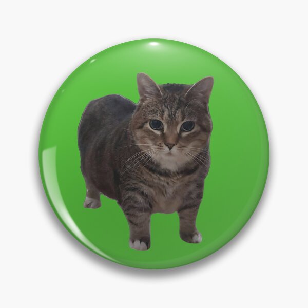 Item preview, Oiia Oiia Cat  designed and sold by Chonk Borris.