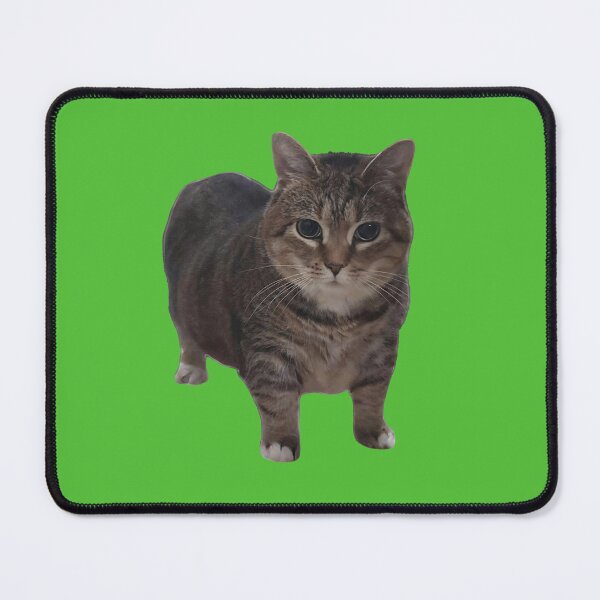 Item preview, Oiia Oiia Cat designed and sold by Chonk Borris.
