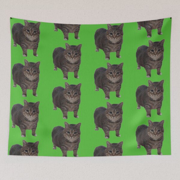 Item preview, Oiia Oiia Cat  designed and sold by Chonk Borris.