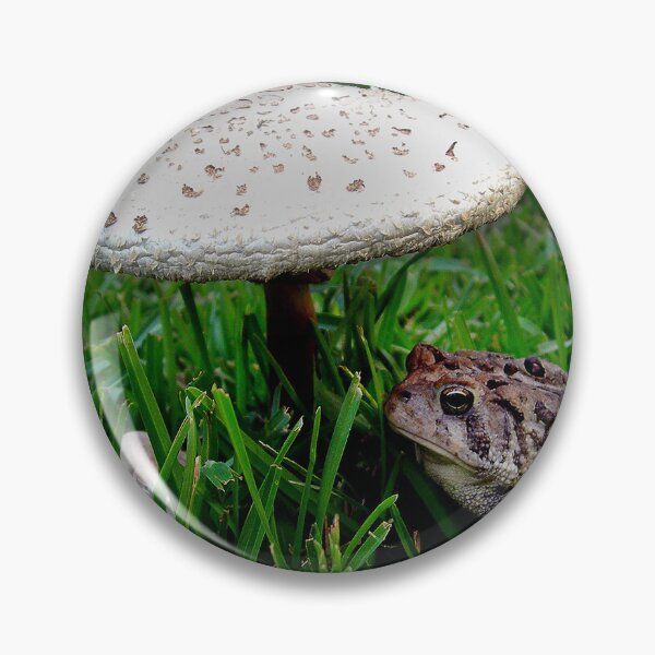 Item preview, TOAD N STOOL designed and sold by SKIP WILLITS FINE ART.