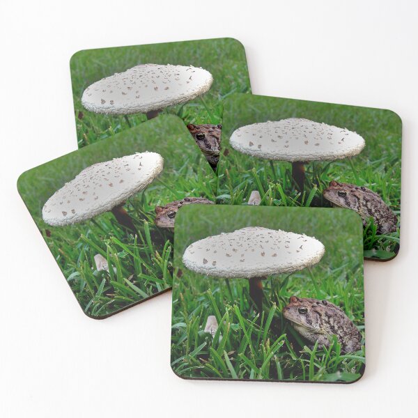 Item preview, TOAD N STOOL designed and sold by SKIP WILLITS FINE ART.