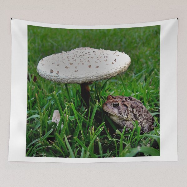 Item preview, TOAD N STOOL designed and sold by SKIP WILLITS FINE ART.