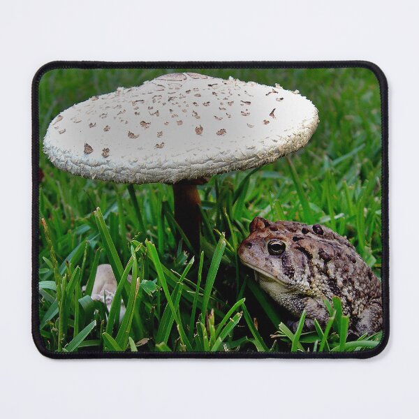 Item preview, TOAD N STOOL designed and sold by SKIP WILLITS FINE ART.