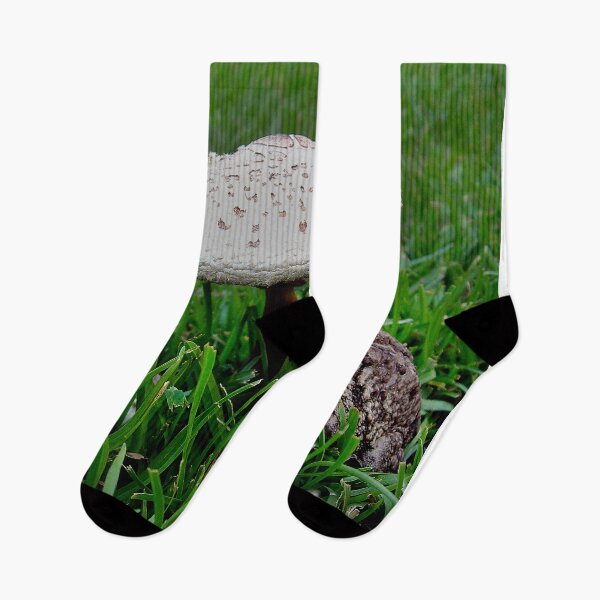 Item preview, TOAD N STOOL designed and sold by SKIP WILLITS FINE ART.