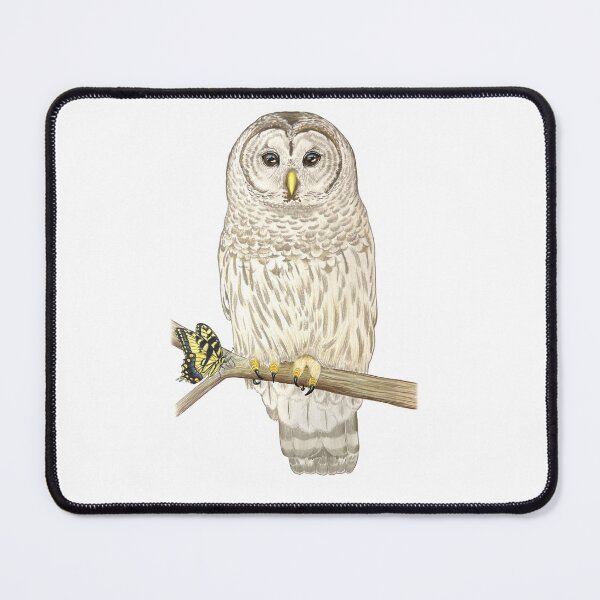 Item preview, Barred Owl designed and sold by Joe Richichi.