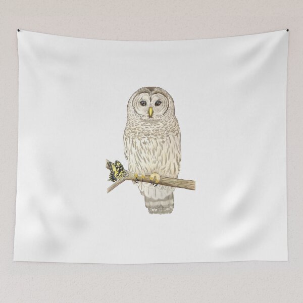 Item preview, Barred Owl designed and sold by Joe Richichi.