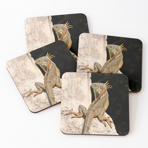 Item preview, Iguana designed and sold by Alex Preiss.
