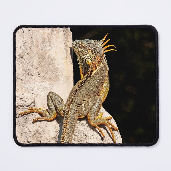 Item preview, Iguana designed and sold by Alex Preiss.
