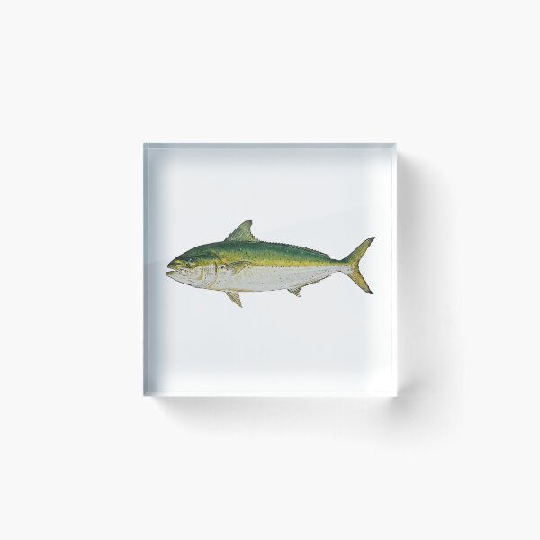 Item preview, Japanese gyotaku print of a common dolphin fish designed and sold by INKEDOCEAN.