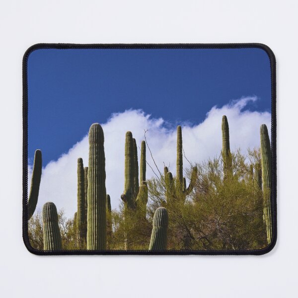 Item preview, Majestic Cacti Under Blue Sky designed and sold by Phakade's Photos.