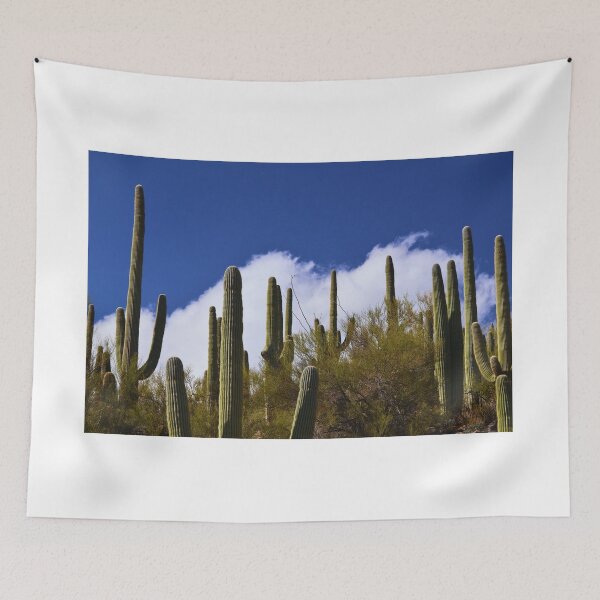 Item preview, Majestic Cacti Under Blue Sky designed and sold by Phakade's Photos.