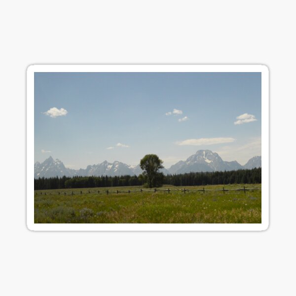 Lone Tree Sticker