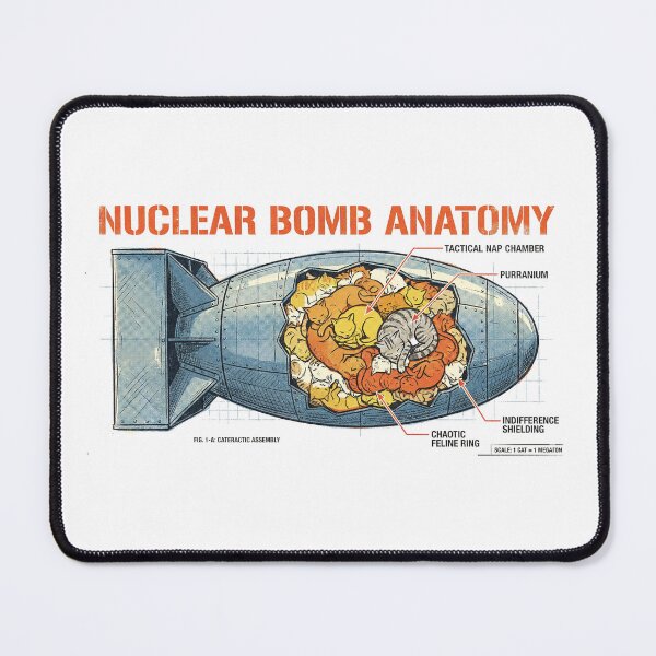 Item preview, Nuclear Cat Anatomy Infographic designed and sold by AdyKurniawan.