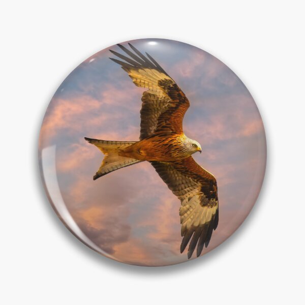Item preview, Red Kite Bird of Prey designed and sold by Alisonchambers2.