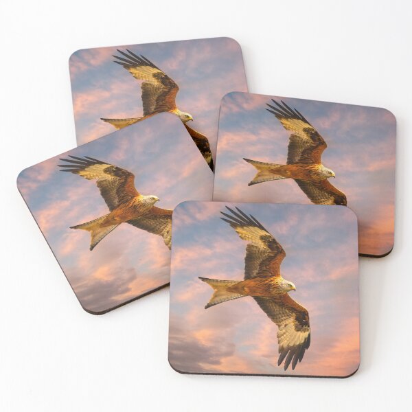 Item preview, Red Kite Bird of Prey designed and sold by Alisonchambers2.