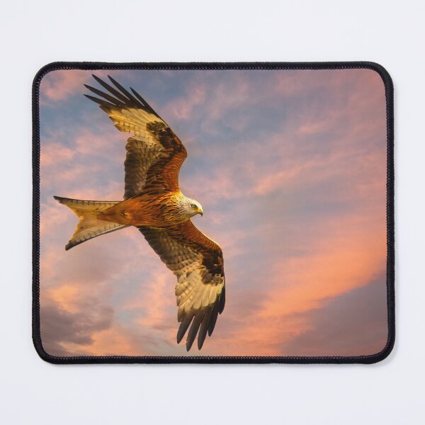 Item preview, Red Kite Bird of Prey designed and sold by Alisonchambers2.
