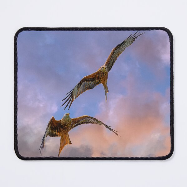 Item preview, Pair of red kites designed and sold by inspireyoureyes.