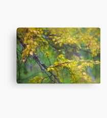Dreamy Photo . 7 ★★★★★ . #### Painting by autumn ####. Norway. 2011. « Arrête-toi, tu es si b» . Views: 4471 . Featured Avant - Garde Art. Metal Print