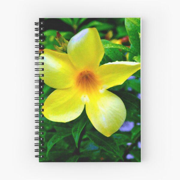 Item preview, Vibrant Yellow Flower Bloom designed and sold by MercerImages.