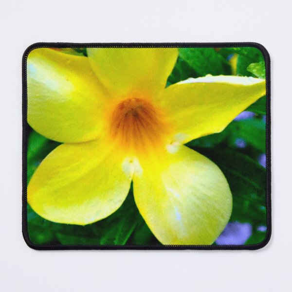 Item preview, Vibrant Yellow Flower Bloom designed and sold by MercerImages.