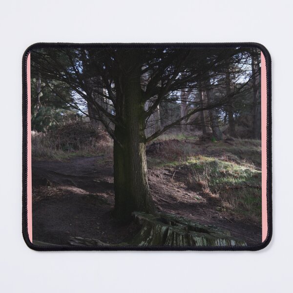Item preview, Trees in the forest touched by the sunlight designed and sold by MarianIlie.