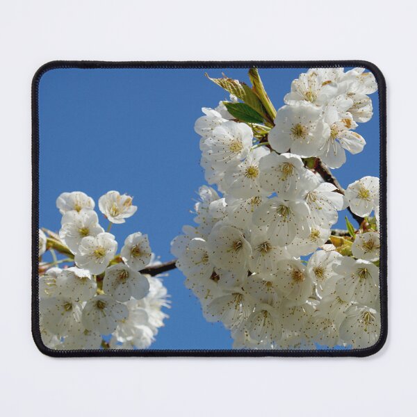 Item preview, Cherry blossom branch designed and sold by nikawanders.