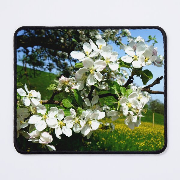 Item preview, apple tree designed and sold by nikawanders.