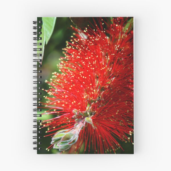 Item preview, Callistemon designed and sold by nikawanders.