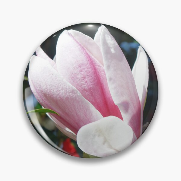 Item preview, Magnolia blossom designed and sold by nikawanders.
