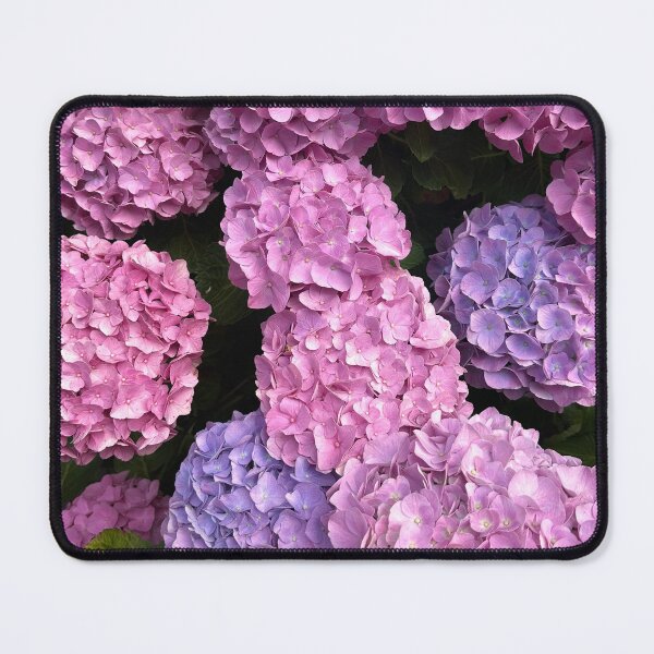Item preview, Hydrangea Switzerland designed and sold by nikawanders.