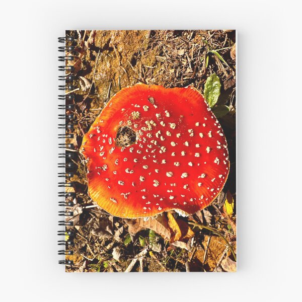 Item preview, Fly agaric designed and sold by nikawanders.