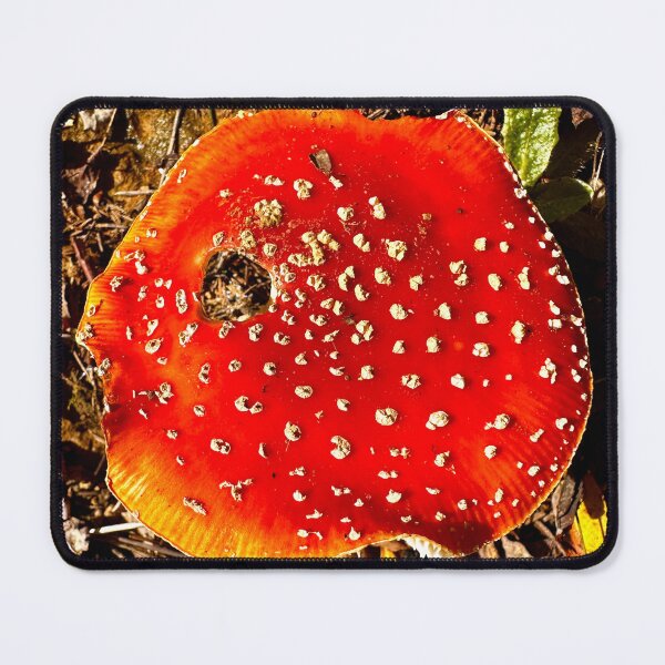 Item preview, Fly agaric designed and sold by nikawanders.
