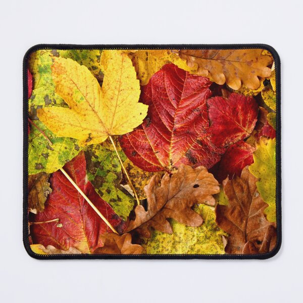 Item preview, Leaves designed and sold by nikawanders.