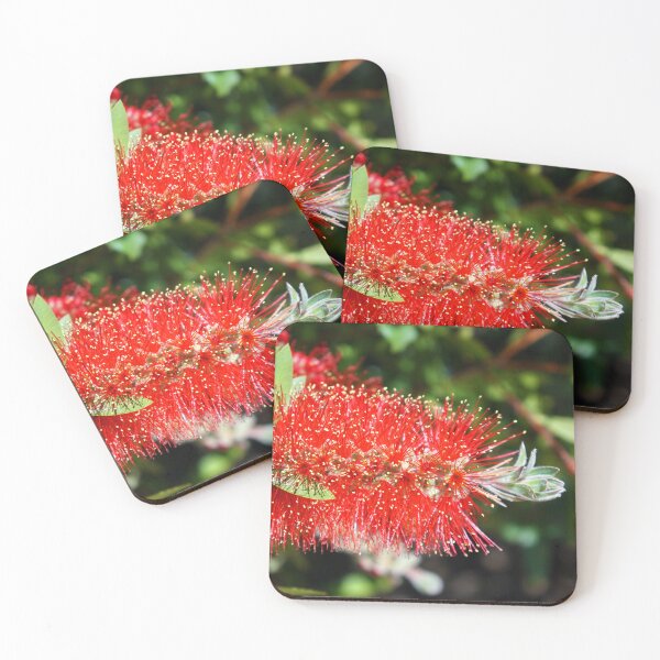 Item preview, Red bottlebrush flower Callistemon designed and sold by nikawanders.