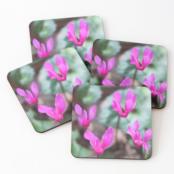Item preview, Cyclamen designed and sold by nikawanders.