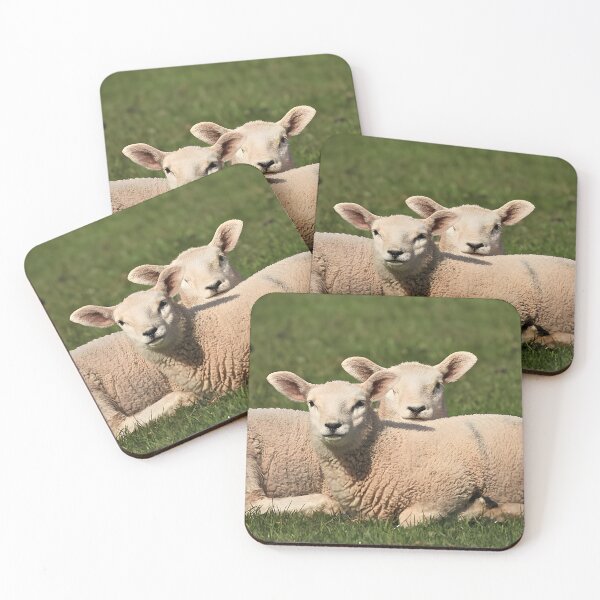 Item preview, Scottish Lambs designed and sold by Scotland Something Special.