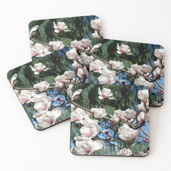 Item preview, Magnolia Parco Botanico Svizzera designed and sold by nikawanders.